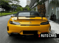 2019 Mercedes-Benz AMG GT R Roadster