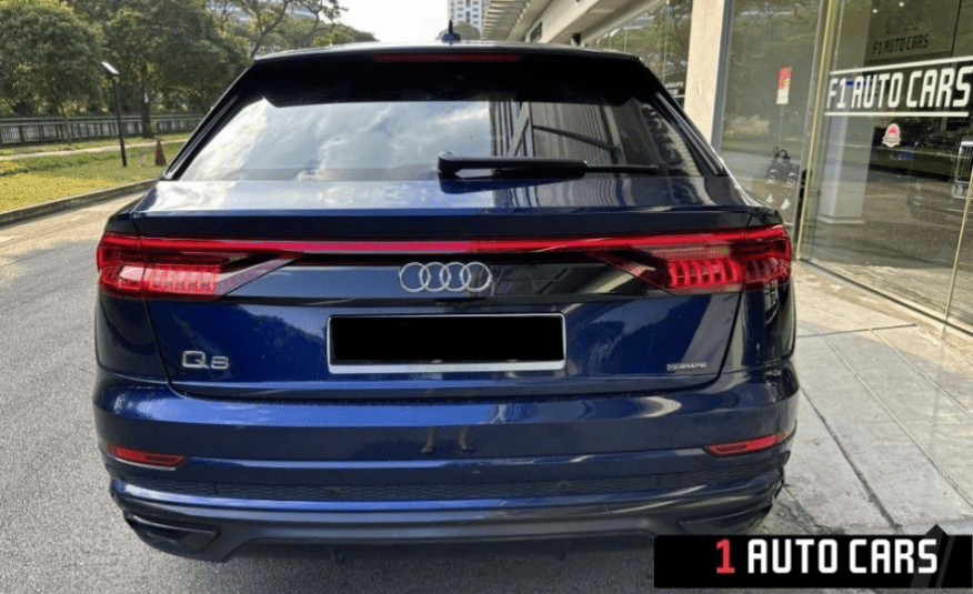 2018 Audi Q8 Mild Hybrid 3.0A TFSI Quattro Tip