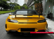 2019 Mercedes-Benz AMG GT R Roadster